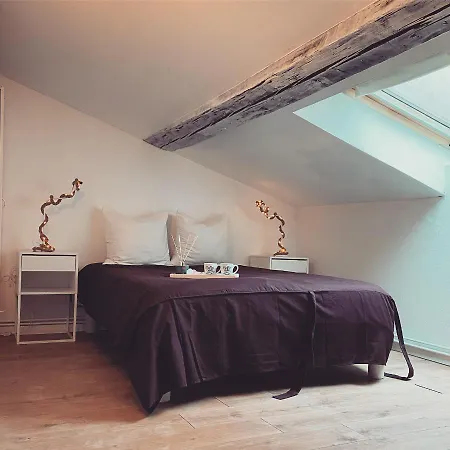 Superbe Duplex En Plein Coeur De Nancy