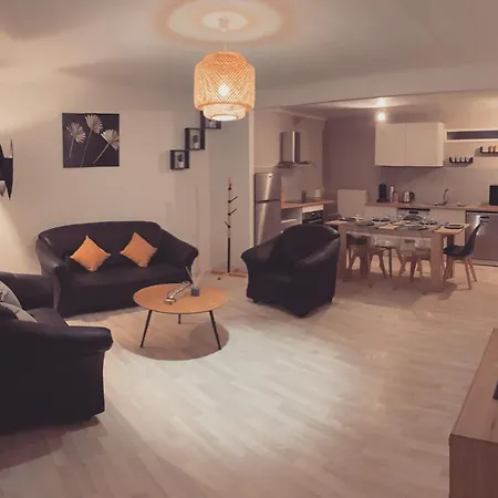 Superbe Duplex En Plein Coeur De Nancy Apartment Nancy