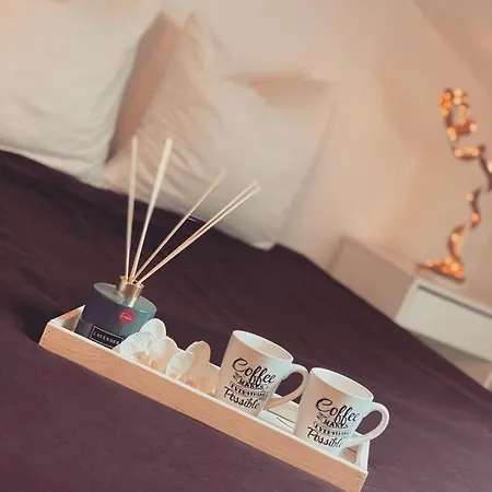 Apartment Superbe Duplex En Plein Coeur De Nancy *