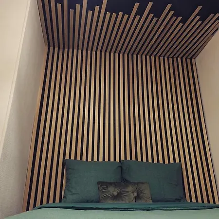 Apartment Superbe Duplex En Plein Coeur De Nancy *